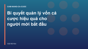 Read more about the article Bí quyết quản lý vốn cá cược hiệu quả cho người mới bắt đầu