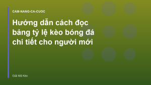 Read more about the article Hướng dẫn cách đọc bảng tỷ lệ kèo bóng đá chi tiết cho người mới